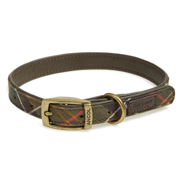 Dog Collar - FINAL SALE