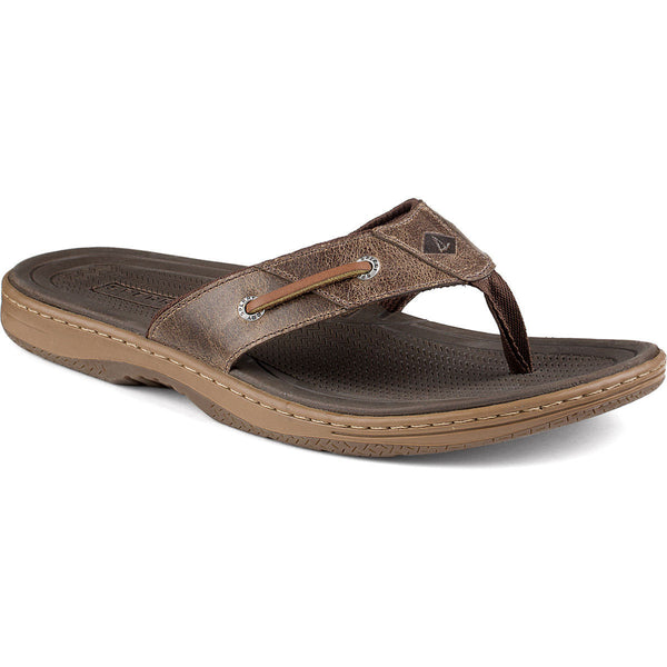 Men's Baitfish Thong Sandal in Brown by Sperry 