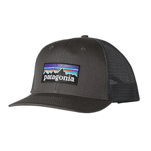 patagonia P-6 Trucker Hat