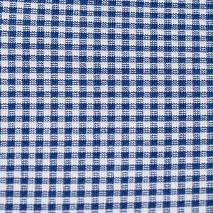 The Spread Collar Gingham Dress Shirt in Beckett Blue   